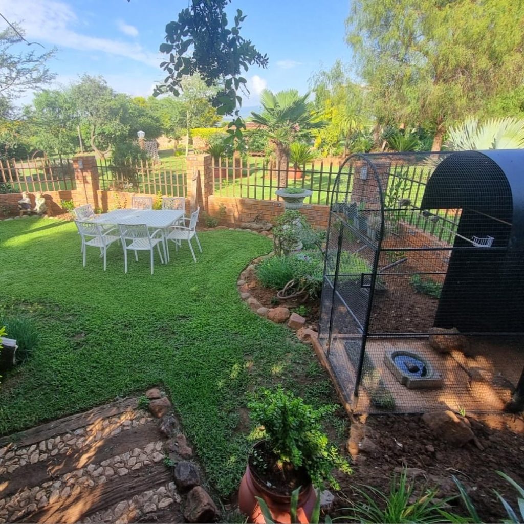 Lydenburg accommodation guesthouse Big Boma photo of outside view of guesthouse chill area with birdcage